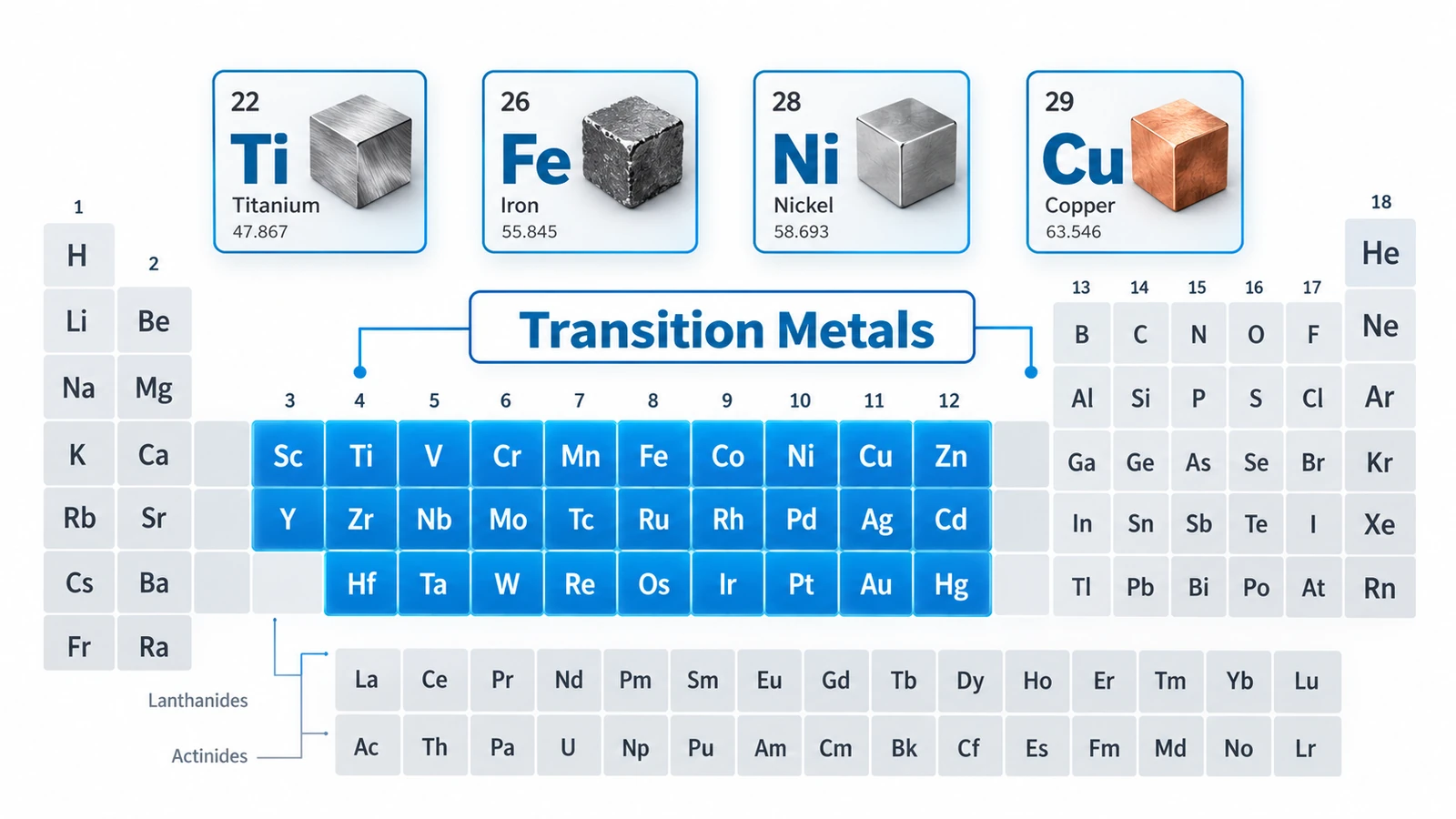 Transition metals periodic table infographic showing the d-block elements and their common applications